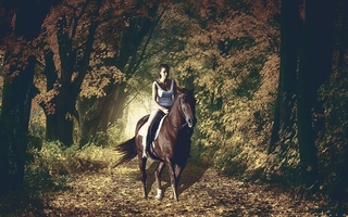 Chute de cheval : la cavalière indemnisée