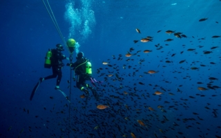 Manquement aux garanties de sécurité des pratiquants : la fermeture en urgence d’un centre de plongée annulée faute de limitation dans le temps