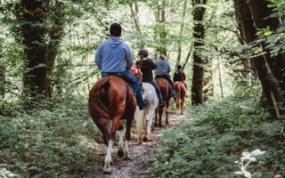 Rejet de la demande d’agrément présentée par la Fédération nationale Equiliberté en l’absence de commission médicale instituée dans ses statuts